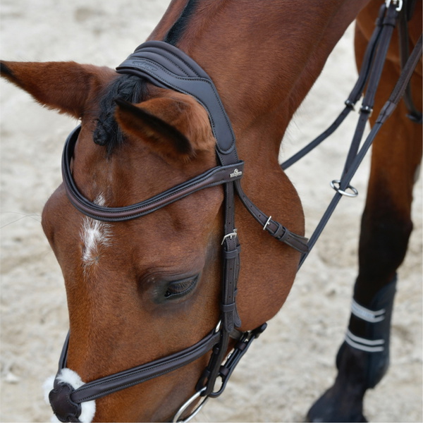 Collegiate Comfitec Opulux Plain Padded Grackle Bridle 102519500 - Dark Brown